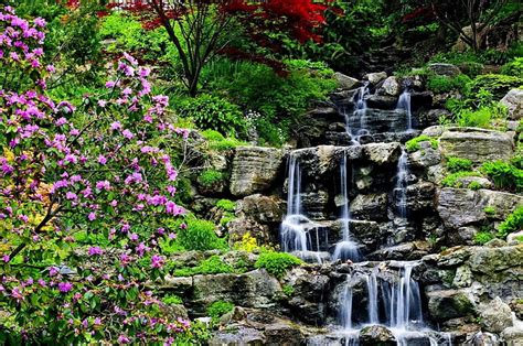 Waterfalls Waterfall Flower Garden Nature Rock Vegetation Water