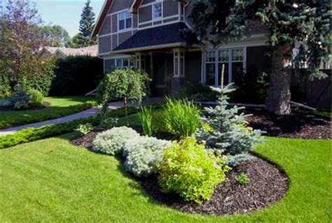Check spelling or type a new query. Top 2018 Evergreen Trees with DIY Landscaping Photos