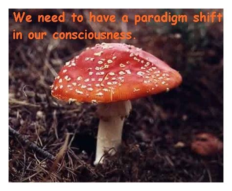 Maybe you would like to learn more about one of these? MUSHROOMS QUOTES image quotes at relatably.com