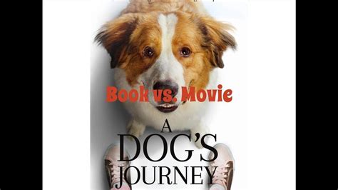 The direct sequel to the new york times and usa today bruce cameron delivers an extremely powerful sequel in this lovely doggish series. A Dog's Journey: Book vs. Movie! - YouTube