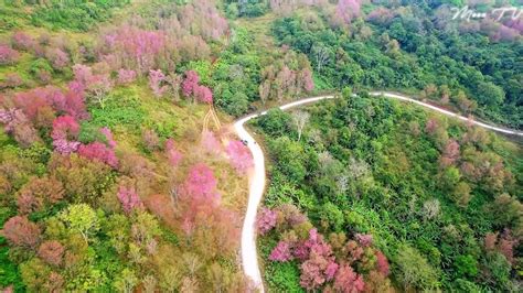 Elevate Your Mood with Calming Music - video Dailymotion