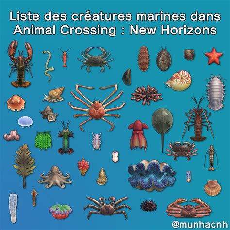 Toutes les créatures marines d'Animal Crossing : New Horizons, liste