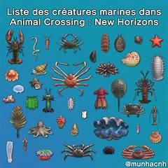 Acnh October Sea Creatures