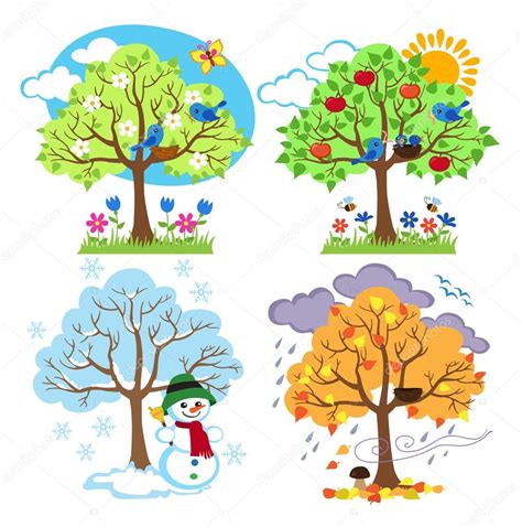 Four Seasons Trees Clipart And Vector With Spring Summer Fall And