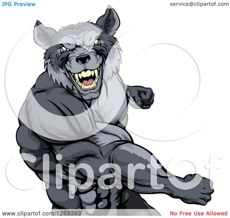Clipart Of A Tough Vicious Muscular Wolf Man Punching Royalty Free