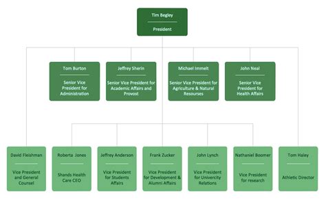 Organization Chart Create Organizational Chart Organizational Structure Types Business