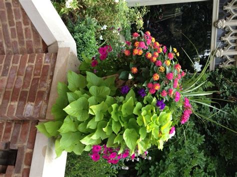 8 Fantastic Container Gardening Ideas For Limited Space