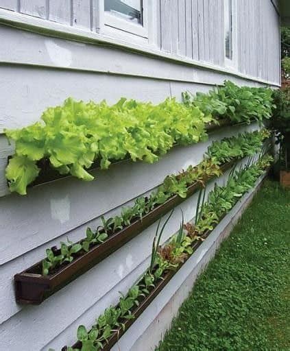 Turn A Small Space Into A Big Harvest With These Awesome Vertical