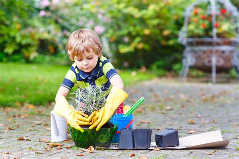 Las 6 Mejores Actividades De Jardinería Para Disfrutar Con Los Niños