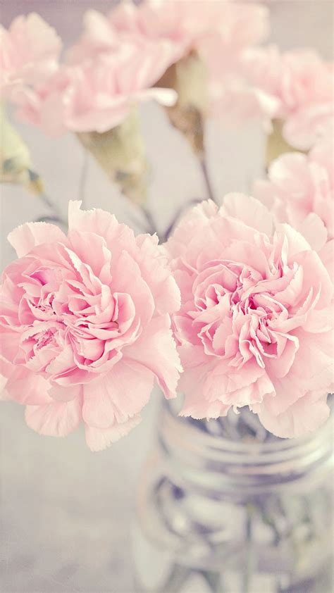 Pink Peonies Iphone Wallpaper Collection Preppy Wallpapers