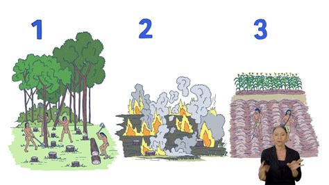 ¿de qué se trataba el sistema agrícola indígena de roza y quema youtube