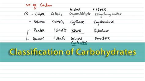 Classification Of Carbohydrates And Monosaccharide Biological