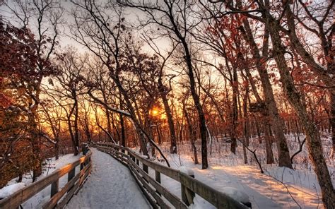 Wallpaper Nature Winter Landscape Snow Forest Trees Path Sunset