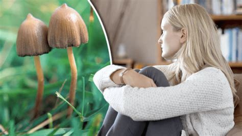 get psilocybin treatment yes magic mushrooms at psychatlanta for depression and anxiety