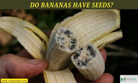 Do Bananas Have Seeds Surprising Truth You Must Know