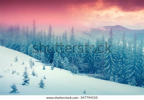 Colorful Winter Sunrise Foggy Mountain Forest Stock Photo Edit Now