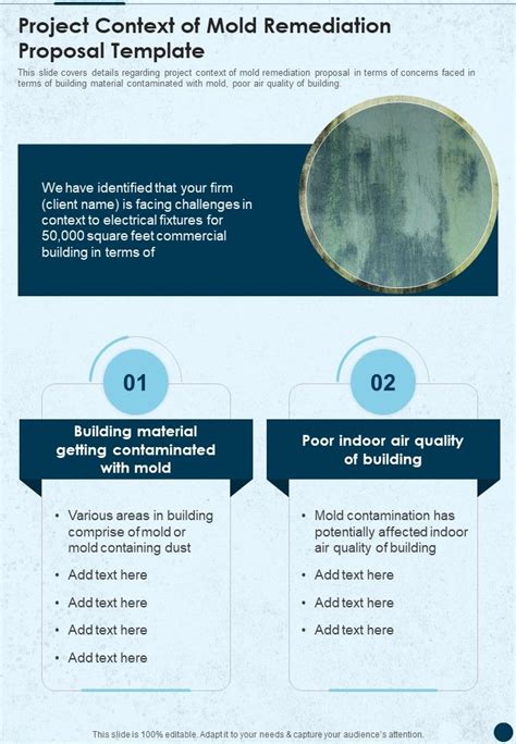 Project Context Of Mold Remediation Template One Pager Sample Example Document Presentation