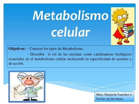 1 Mb Metabolismo Celular