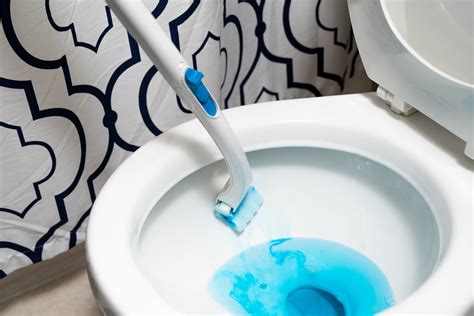 The Best Toilet Bowl Cleaners Review This Old House