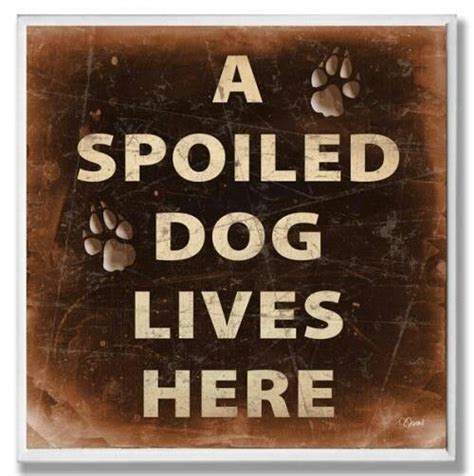 A Spoiled Dog Does Live Here Spoiled Dogs Dog Life Dog Quotes