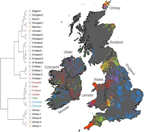 First Irish Genetic Map Reveals A ‘sink Of Celtic Ancestry