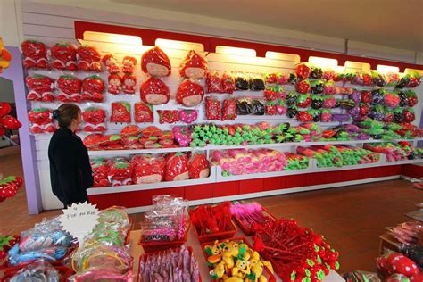 All things to do in cameron highlands. Strawberry Farms