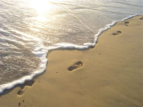 Footprints In The Sand Hd Wallpapers Wallpaper Cave