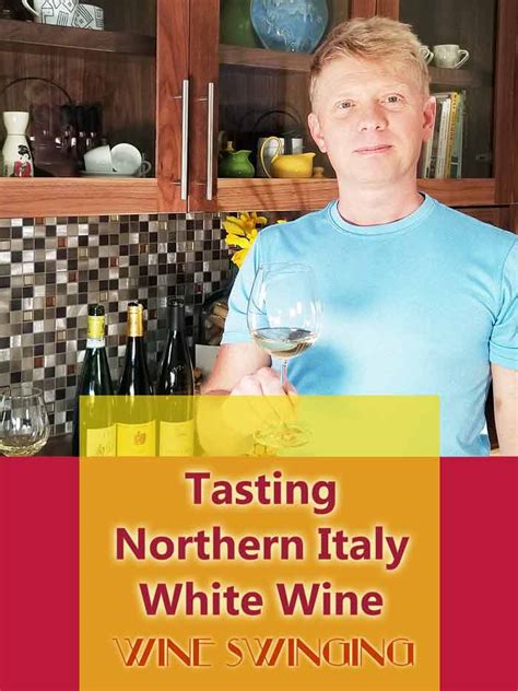 Northern Italy White Wines Tasting Wine Swinging