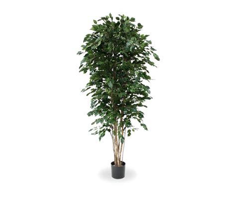 Artificial Tree PNG File | PNG Mart png image