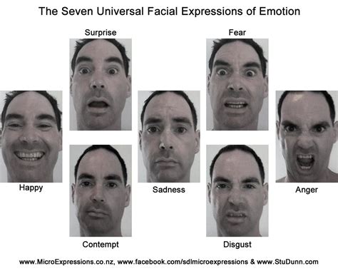 Emotional Reactions Microexpresiones Lenguaje Corporal Psicologia Expresion Emocional