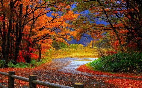 Free Download Top 6 Android Autumn Live Wallpapers To Enjoy Falling