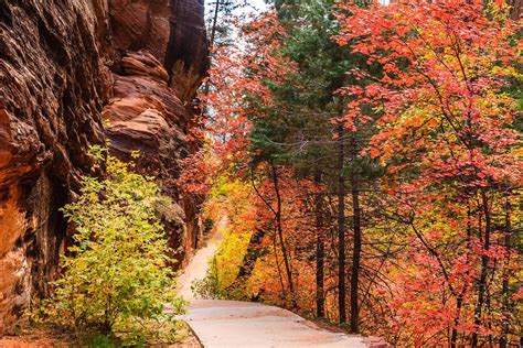 When Is The Best Time To Visit Zion National Park Territory Supply