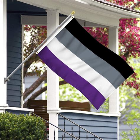 Asexueel Vlag Grote Asexual Flag Aseksuele Aseksueel Lgbt Gay Pride Vlaggenmast Bol