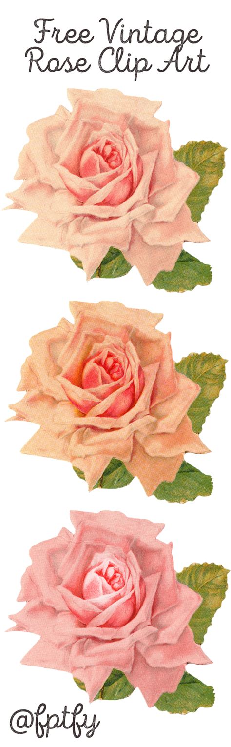 Beautiful Vintage Rose Clip Art Free Pretty Things For You