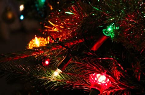 Light Up Your Christmas Tree Birkacre Garden Centre