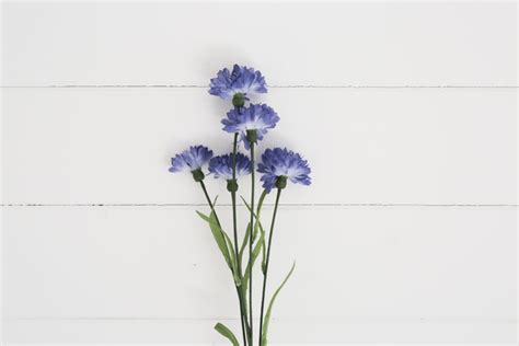 Luxury Artificial Blue Cornflower Stem Spray Mid Blue Etsy Uk