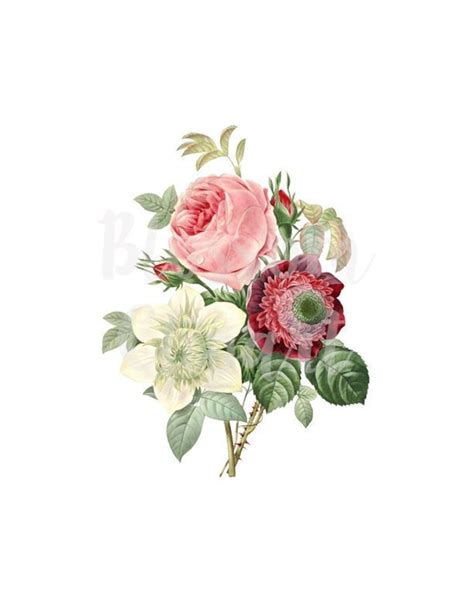 Vintage Rose Bouquet Clipart Clip Art Roses For Invitation Etsy