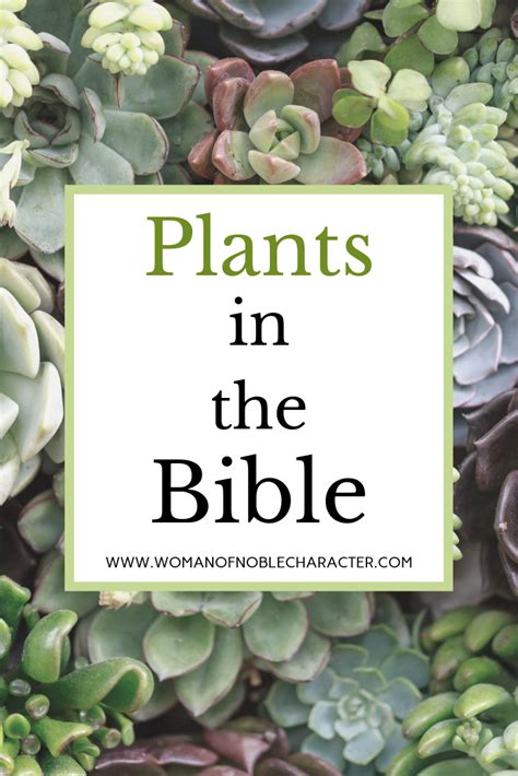 The Incredibly Interesting Symbolism Of Plants In The Bible Artofit