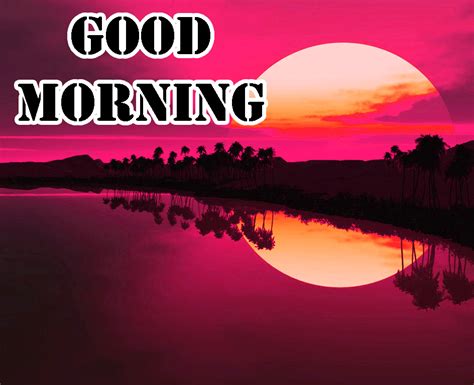 Morning Pictures Good Morning Images Whatsapp Dp Wallpaper Pictures