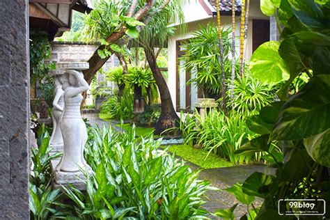 Tenang saja, dalam artikel ini terdapat tips dan cara memperindah pekaranganmu. 5 Cara Membuat Taman Tropis Bali di Rumah Sendiri