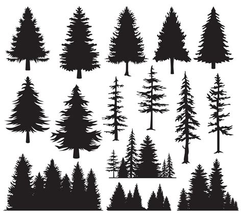 Set Of Fir Trees Silhouette Forest View Pine Trees Isolated On White