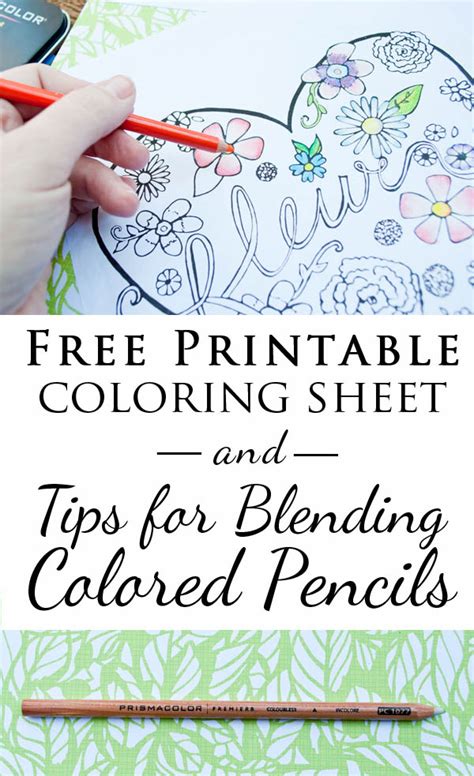 printable adult coloring pages tips  blending colors