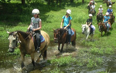 Horse Riding Camp Trail Rides An Inside Peek Kiah Park