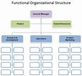 Software Development Company Organizational Chart Pictures