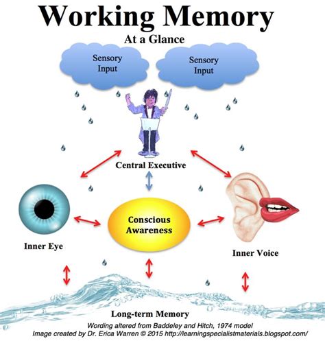 Mindfulness Training Improves Working Memory Capacity Classroom