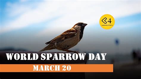 The objective of world sparrow day is to educate the public about the threat of polluted urban. World Sparrow Day - March 20 - YouTube