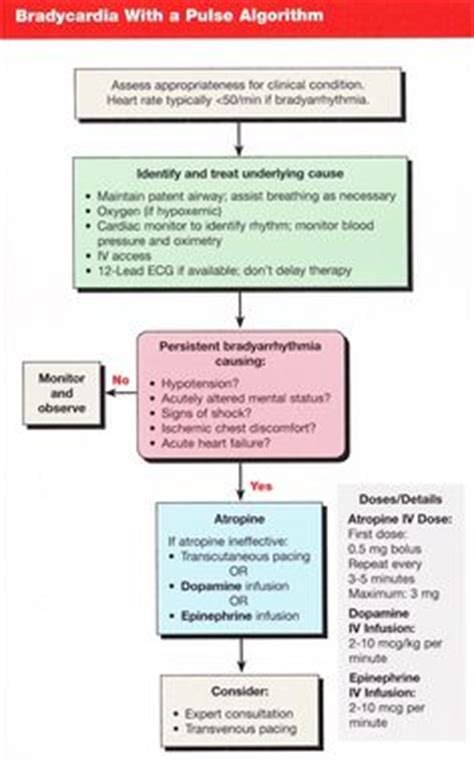 The course reflects science and education from the 2020 american heart association guidelines for cpr and emergency cardiovascular care (ecc). ACLS Rhythms Cheat Sheet | ... cheat sheet High Speed Direct Downloads acls pharmacology cheat ...