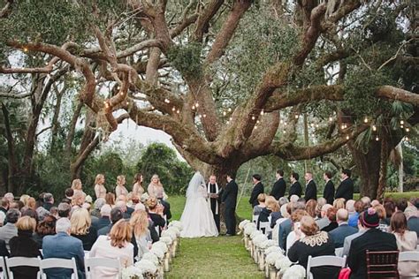 Magical Wedding Ceremony Beneath An Oak Tree In Florida Whimsical