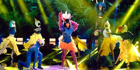 The Masked Dancer Who Is Exotic Bird