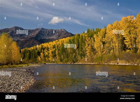 Elk River And Lizard Range In Autumn Fernie Bc Canada Stock Photo